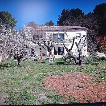 La Maison De Papou La Vigne A Nans Les Pins 83860 ภายนอก รูปภาพ