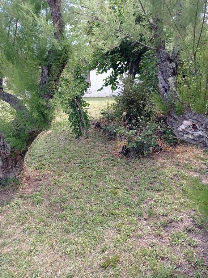 La Maison De Papou La Vigne A Nans Les Pins 83860 ภายนอก รูปภาพ
