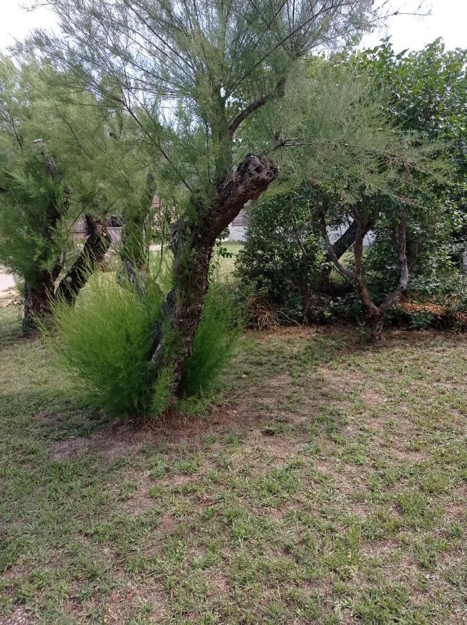 La Maison De Papou La Vigne A Nans Les Pins 83860 ภายนอก รูปภาพ